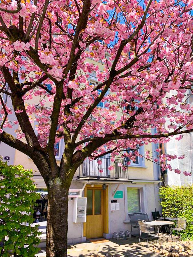 CityLodge St Gallen - 2 min to Marktplatz Sankt Gallen Buitenkant foto