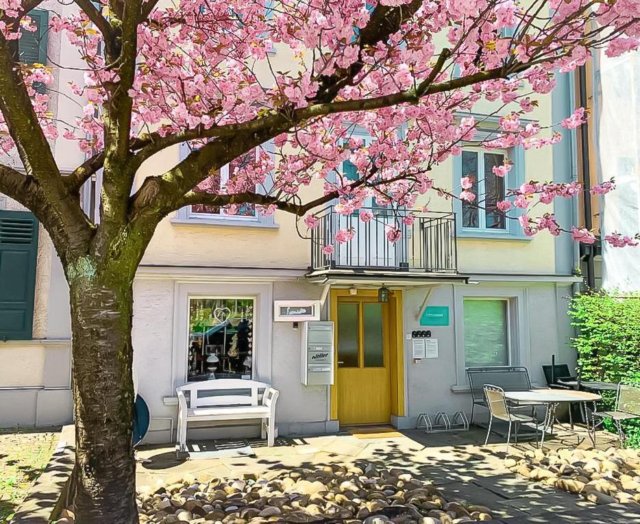 CityLodge St Gallen - 2 min to Marktplatz Sankt Gallen Buitenkant foto